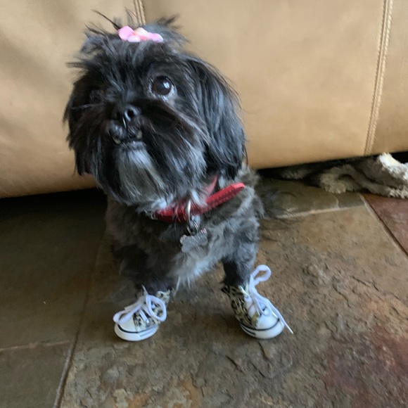 Meet your Posher, Kelly - Picture 3 of 5